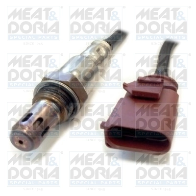 Oxygen Sensor